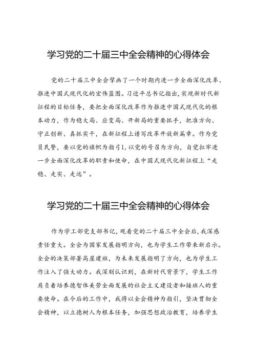 学习党的二十三中全会心得感悟发言稿二十六篇.docx