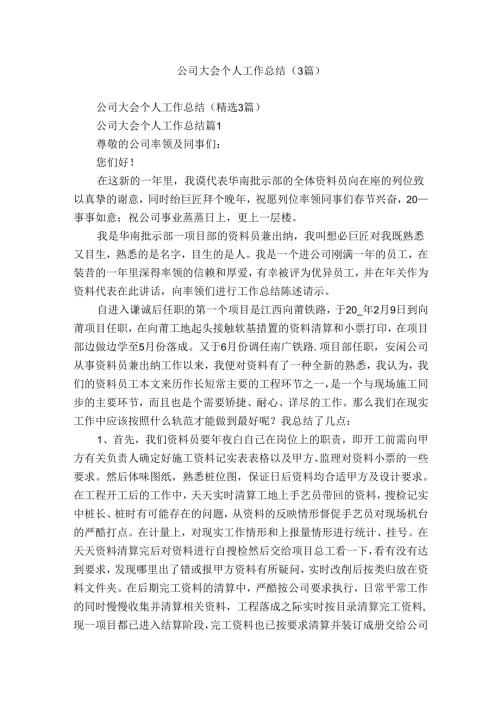 公司大会个人工作总结（3篇）.docx