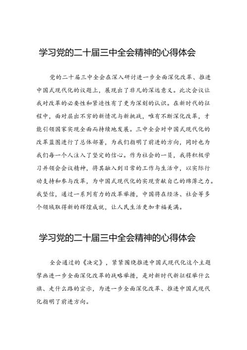 2024年学习党的二十三中全会精神的心得感悟最新二十七篇.docx