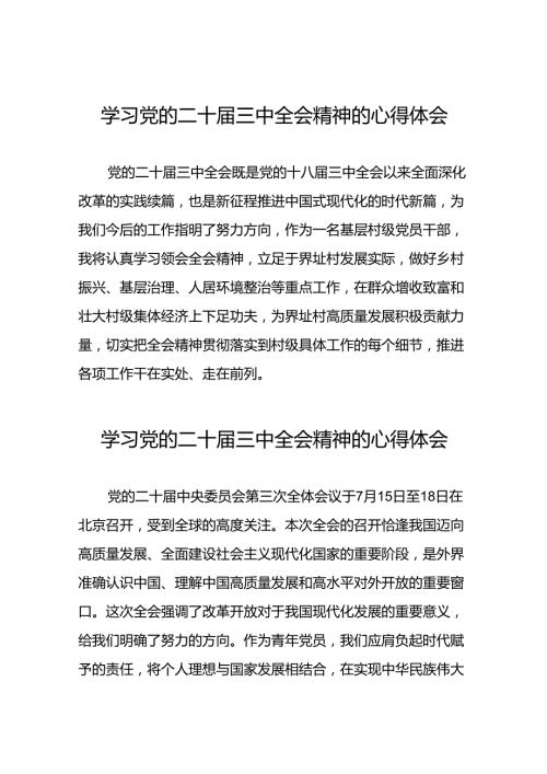 2024年党的二十三中全会精神学习感悟最新版范本三十篇.docx