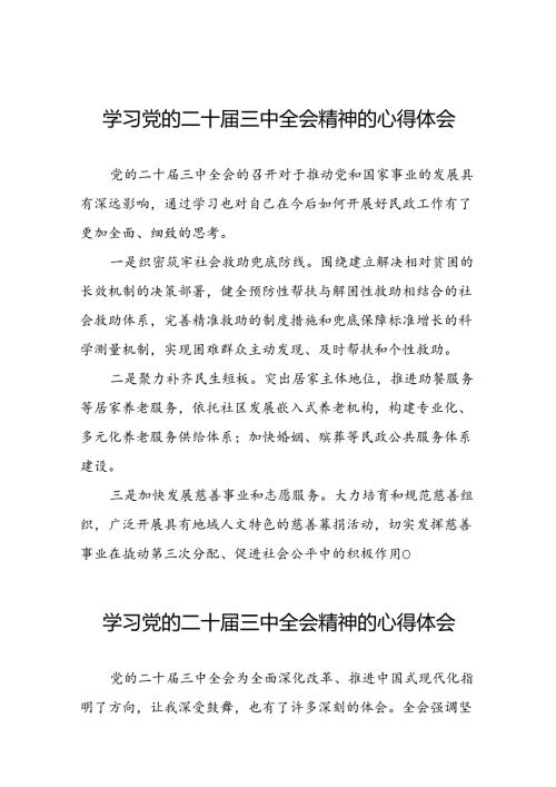 2024年党的二十三中全会精神学习体会研讨发言材料模板三十篇.docx