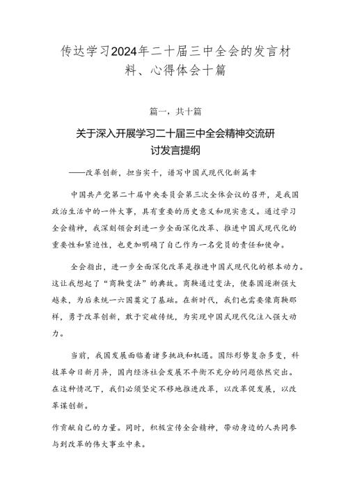 传达学习2024年二十三中全会的发言材料、心得体会十篇.docx