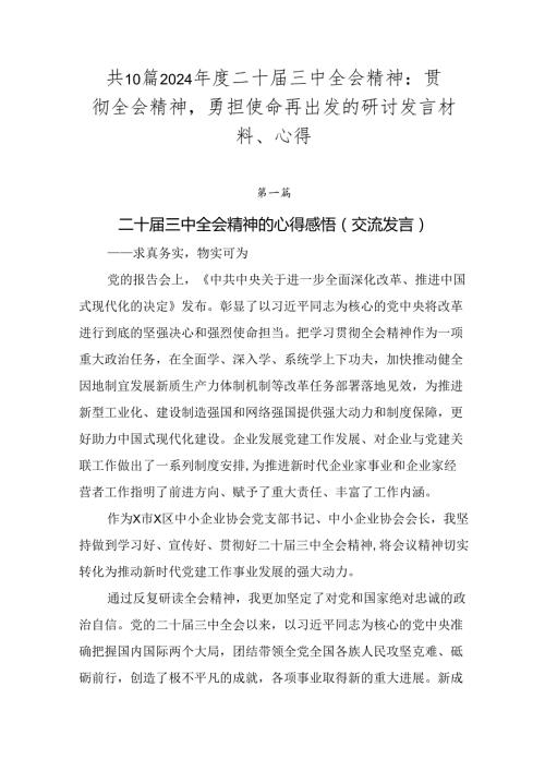 共10篇2024二十三中全会精神：贯彻全会精神勇担使命再出发的研讨发言材料、心得.docx