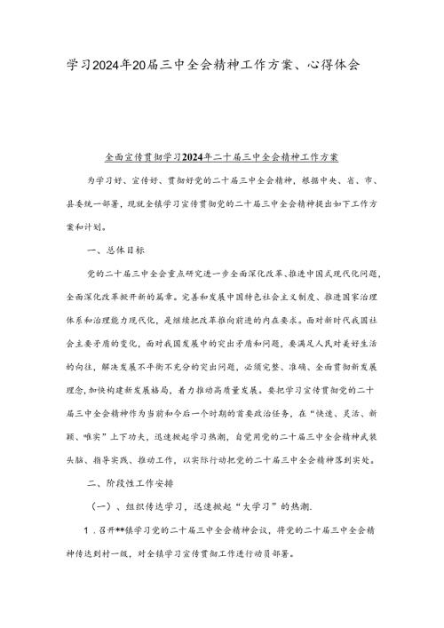 学习2024年20三中全会精神工作方案、心得体会.docx