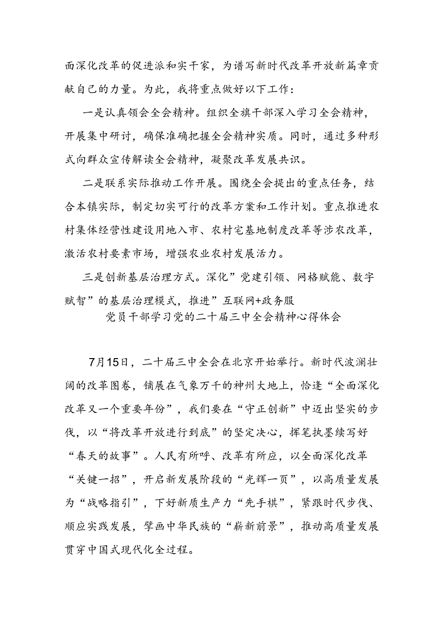 乡镇领导学习贯彻二十三中全会精神的研讨发言（5篇）.docx_第3页