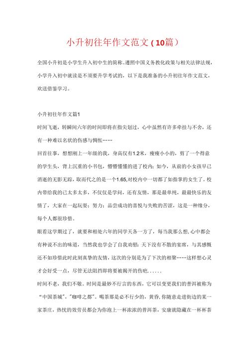 小升初往年作文范文（10篇）.docx