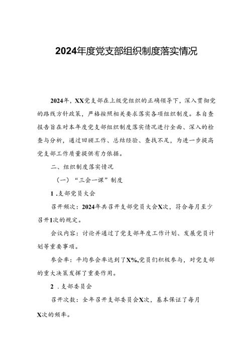 2024党支部组织制度落实情况自查报告.docx