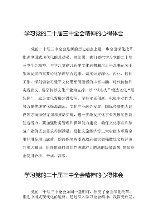 学习贯彻党的二十三中全会精神的心得感悟简短交流发言稿范本39篇.docx