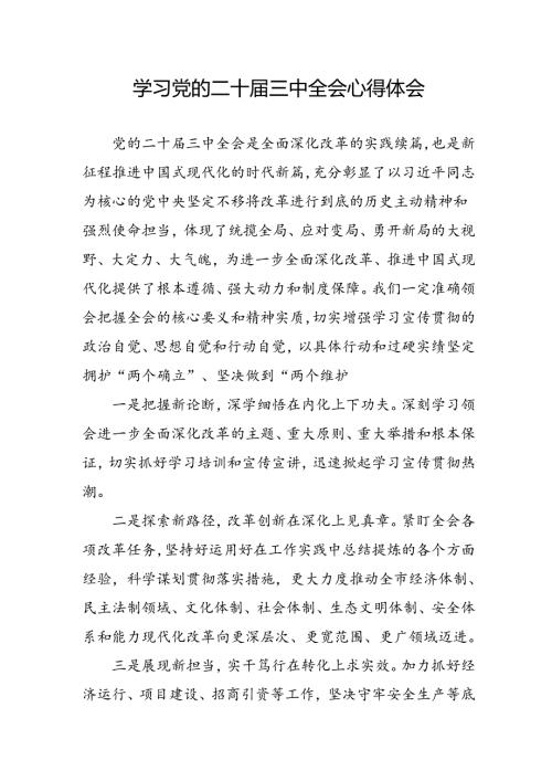 学习2024年学习党的二十三中全会个人心得感悟 （4份）51.docx