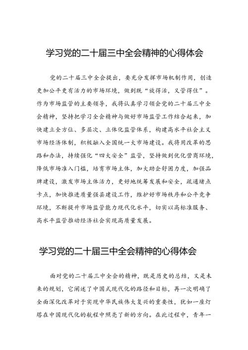 机关干部关于学习党的二十三中全会精神心得体会研讨发言材料33篇.docx