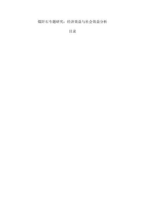 煤矸石专题研究：经济效益与社会效益分析.docx