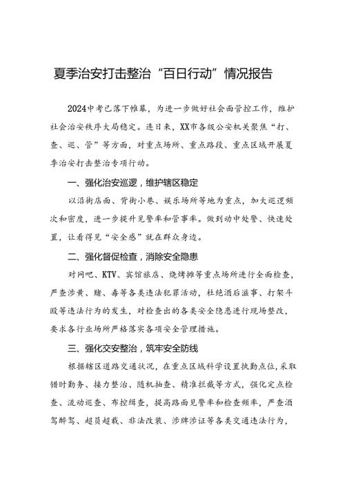 公安2024开展夏季治安打击整治行动总结报告17篇.docx