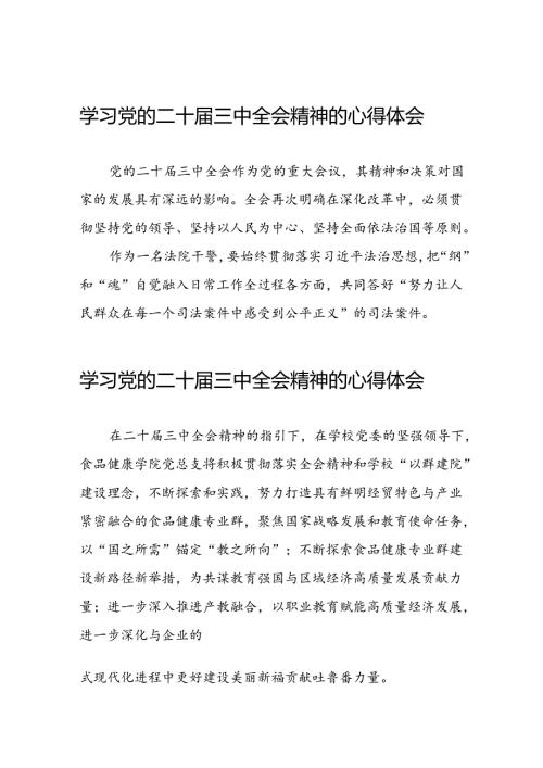2024年学习贯彻二十三中全会精神的心得体会范文42篇.docx