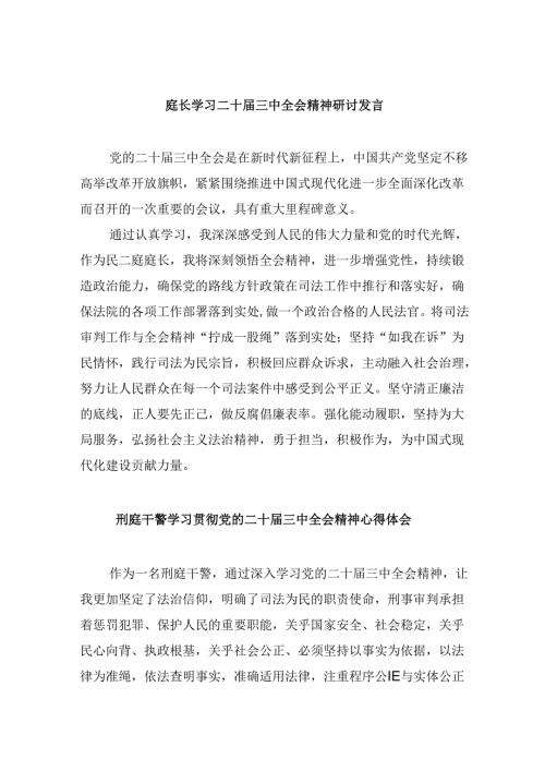 庭长学习二十三中全会精神研讨发言8篇（精选）.docx