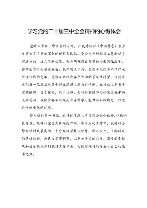 2024年党的二十三中全会精神学习体会研讨发言材料13篇.docx