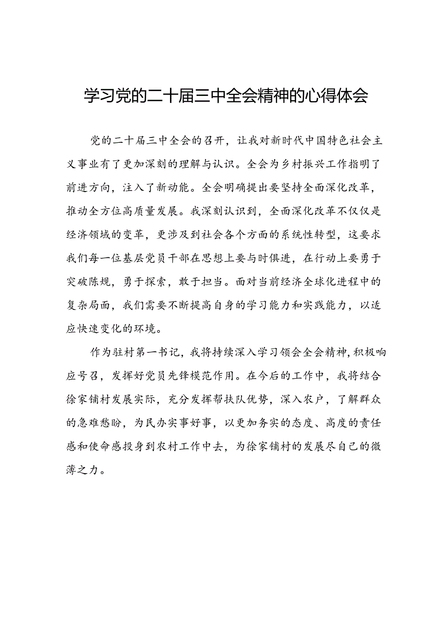 2024年党的二十三中全会精神学习体会研讨发言材料13篇.docx_第1页