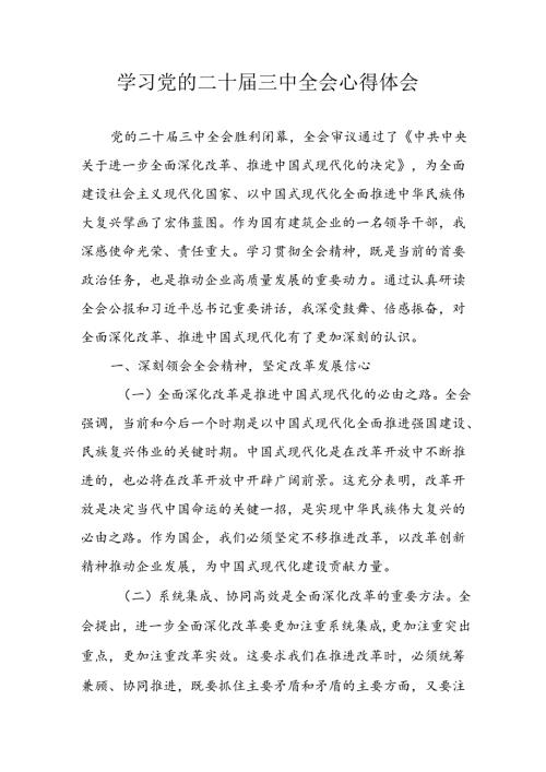 2024年学习学习党的二十三中全会个人心得体会 （合计9份）.docx