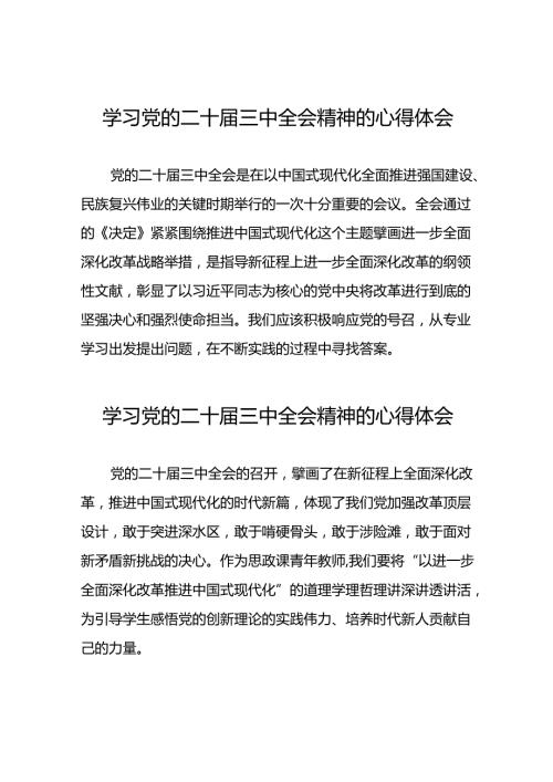 二十三中全会精神心得体会简短发言42篇.docx