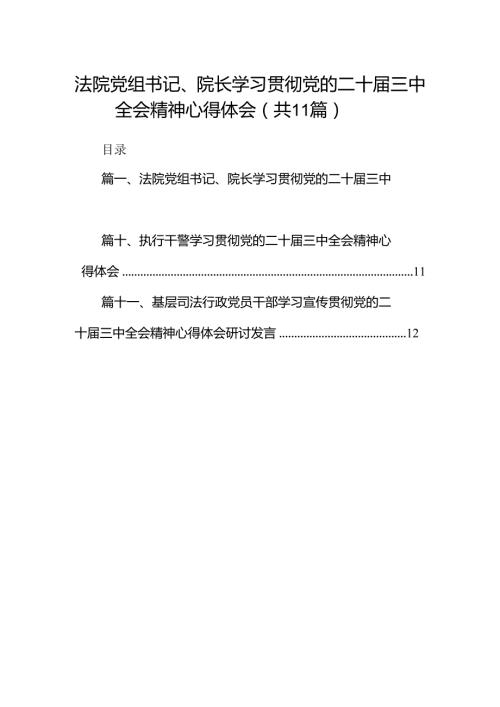 （11篇）法院党组书记、院长学习贯彻党的二十三中全会精神心得体会集锦.docx