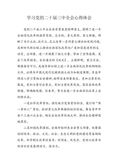 学习2024年学习党的二十三中全会个人心得感悟 （4份）49.docx