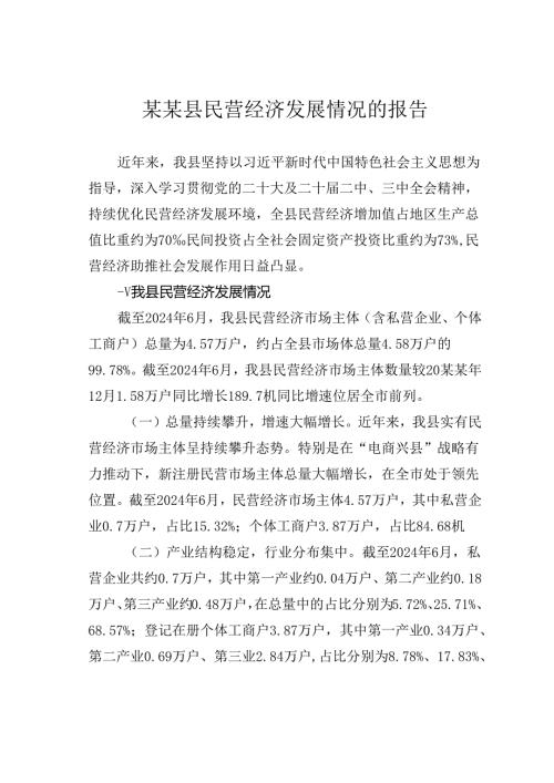 某某县民营经济发展情况的报告.docx