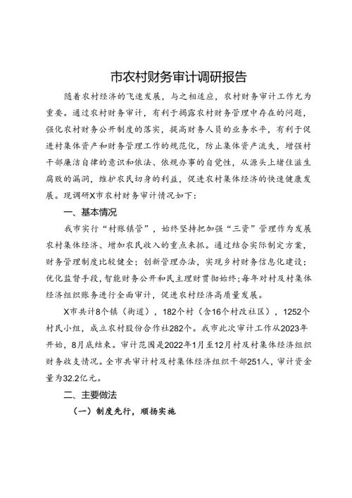 市农村财务审计调研报告.docx