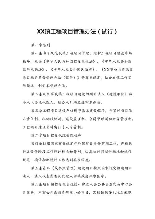 XX镇工程项目管理办法.docx