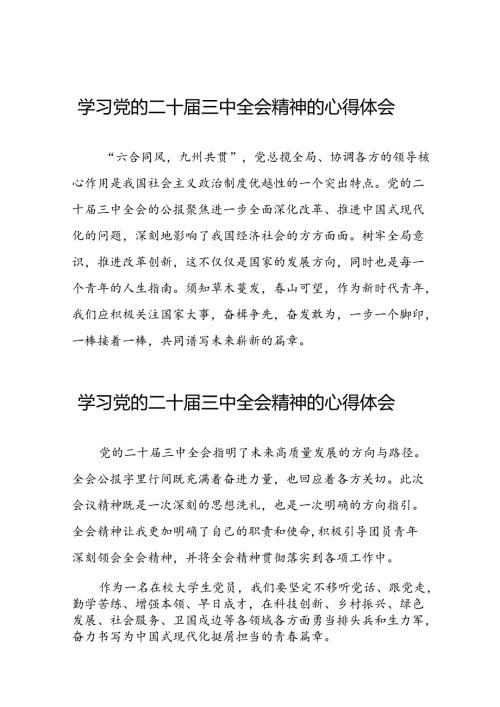 关于2024学习贯彻党的二十三中全会精神的心得体会39篇.docx