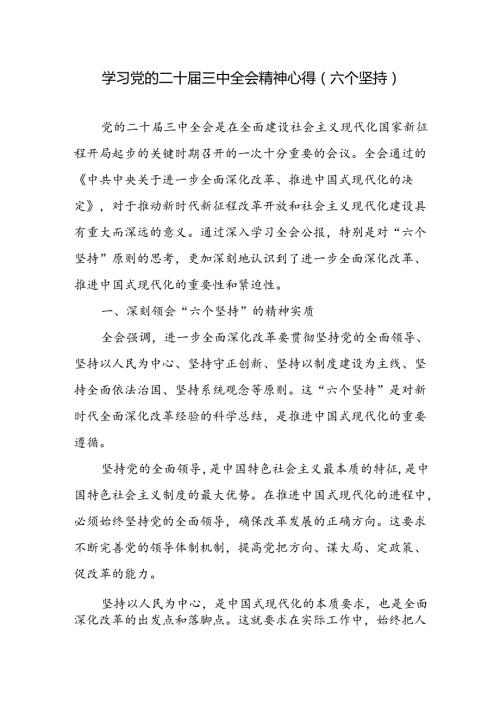 党员干部学习党的二十三中全会精神“六个坚持”专题研讨发言心得体会.docx