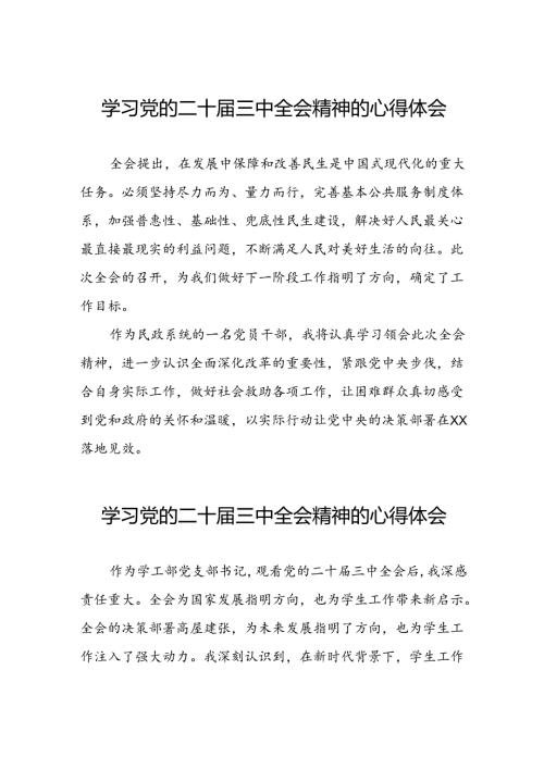 学习党的二十三中全会心得感悟发言稿31篇.docx