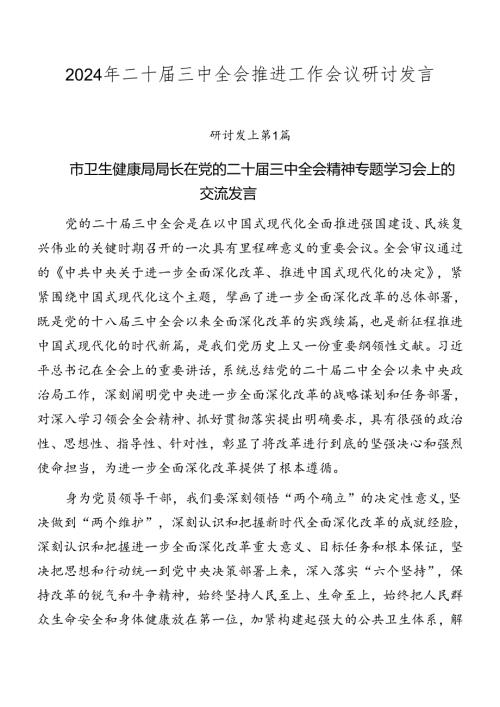 2024年二十三中全会推进工作会议研讨发言.docx
