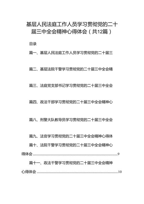 基层人民法庭工作人员学习贯彻党的二十三中全会精神心得体会12篇（详细版）.docx