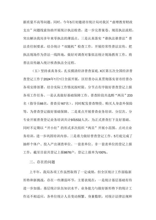 区统计局关于2024年上半年工作总结及下半年工作计划2篇.docx