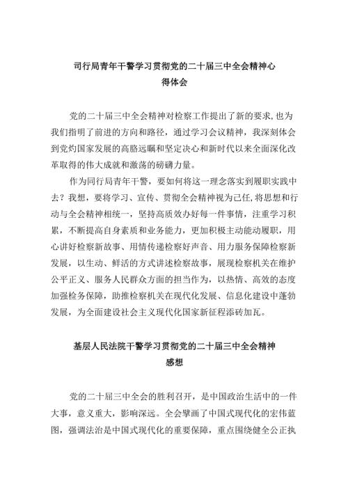 司行局青年干警学习贯彻党的二十三中全会精神心得体会8篇（精选）.docx