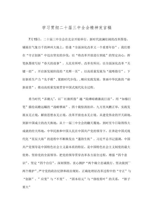 学习贯彻二十三中全会精神发言稿.docx
