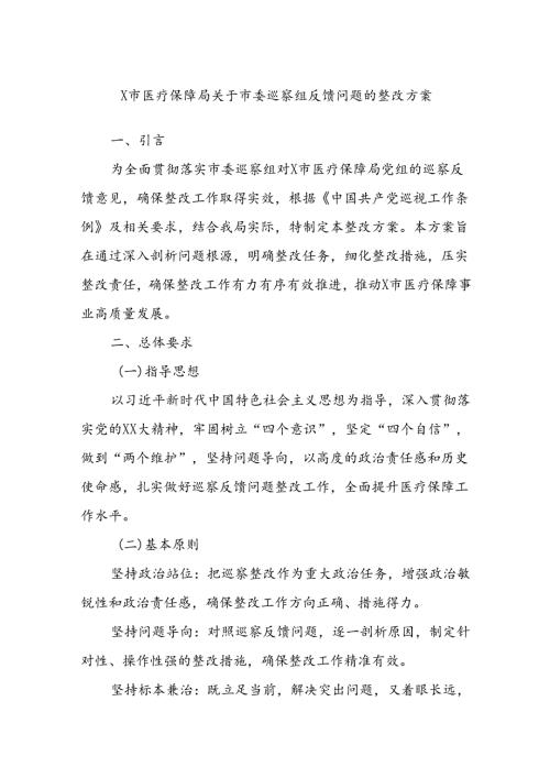 X市医疗保障局关于市委巡察组反馈问题的整改方案(1).docx