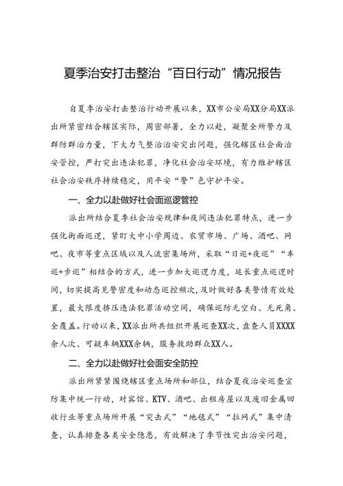 2024年夏季治安打击整治专项工作总结十四篇.docx