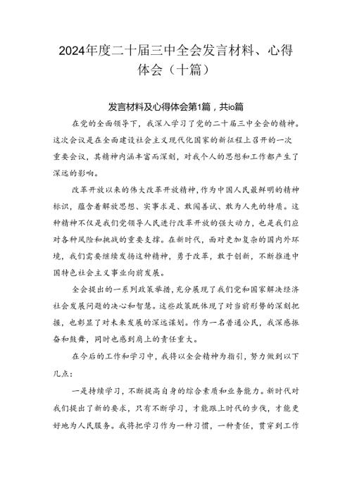 2024二十三中全会发言材料、心得体会（十篇）.docx