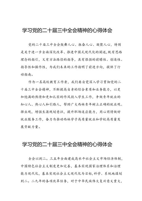 关于二十三中全会精神的心得体会发言材料.docx