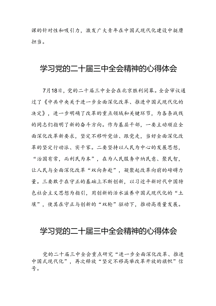 关于二十三中全会精神的心得体会发言材料.docx_第3页