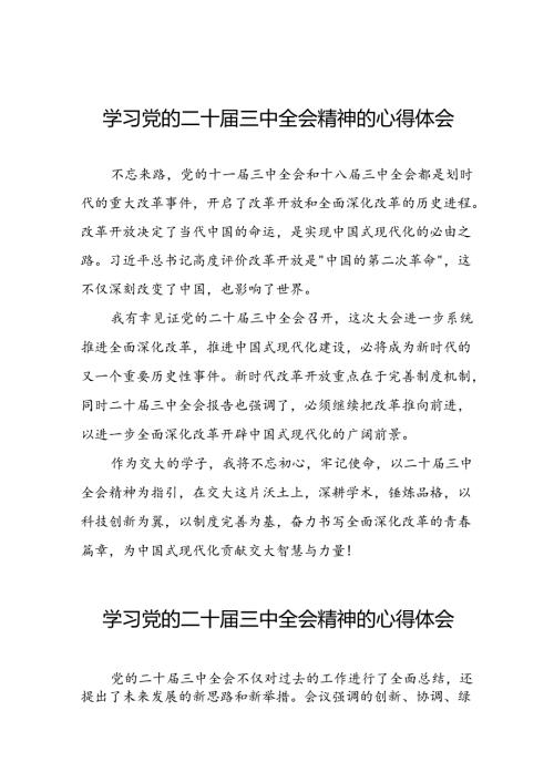 2024年学习贯彻党的二十三中全会精神的心得体会交流发言42篇.docx