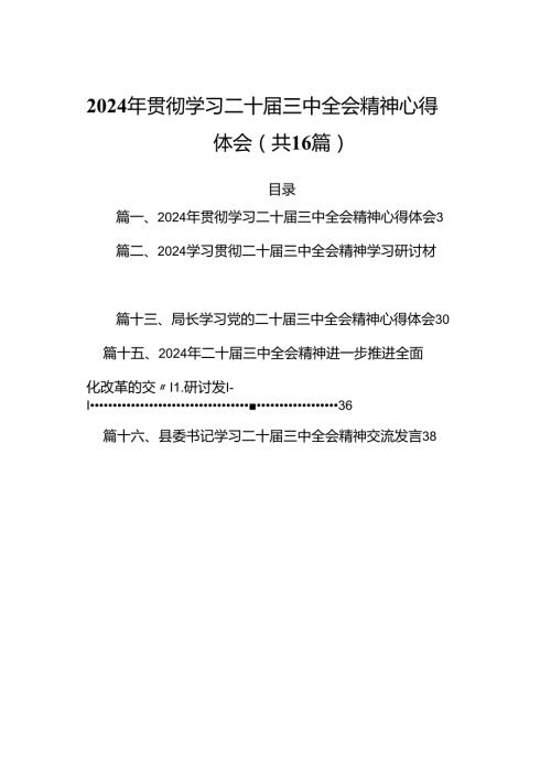 2024年贯彻学习二十三中全会精神心得体会16篇（精选版）.docx