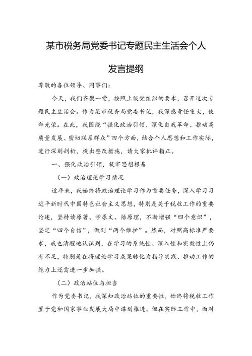 某市税务局党委书记专题民主生活会个人发言提纲.docx