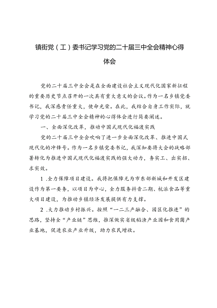 5篇 2024年镇街党（工）委书记学习党的二十三中全会精神心得体会.docx_第1页