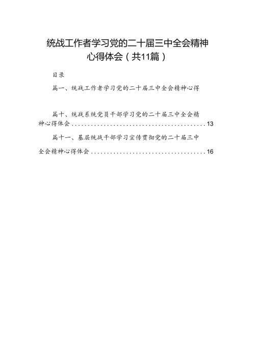 （11篇）统战工作者学习党的二十三中全会精神心得体会（精选）.docx