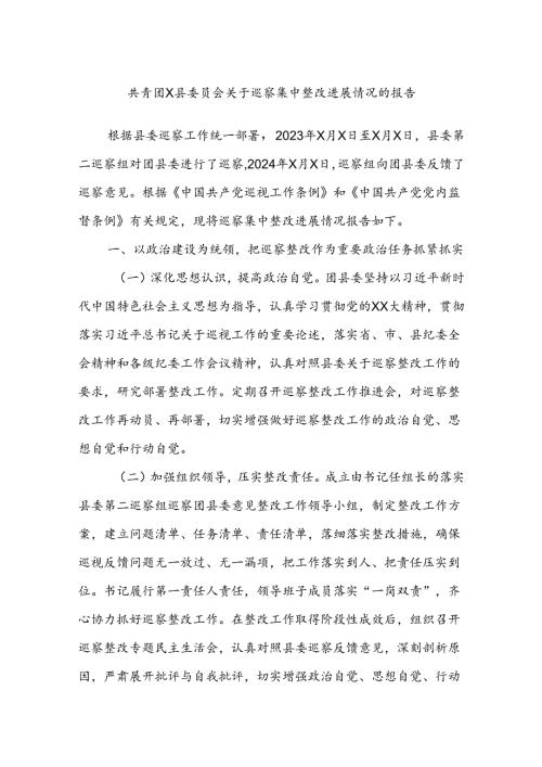 共青团X县委员会关于巡察集中整改进展情况的报告(1).docx