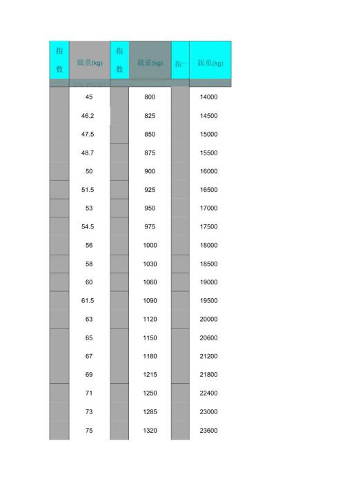 各种轮胎载重指数对照表超级全.docx
