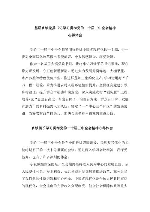基层乡镇党委书记学习贯彻党的二十三中全会精神心得体会8篇（精选）.docx