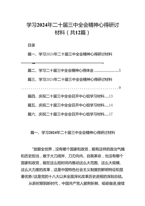 学习2024年二十三中全会精神心得研讨材料 （汇编12份）.docx