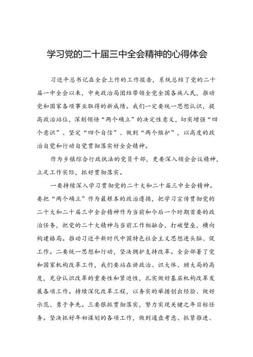 22篇领导干部学习中国共产党第二十中央委员会第三次全体会议精神心得体会.docx